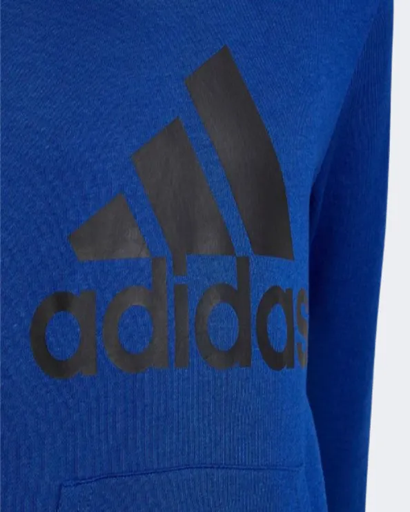 Adidas Essentials Boys Sportswear Hoody Blue/Black Hn1912