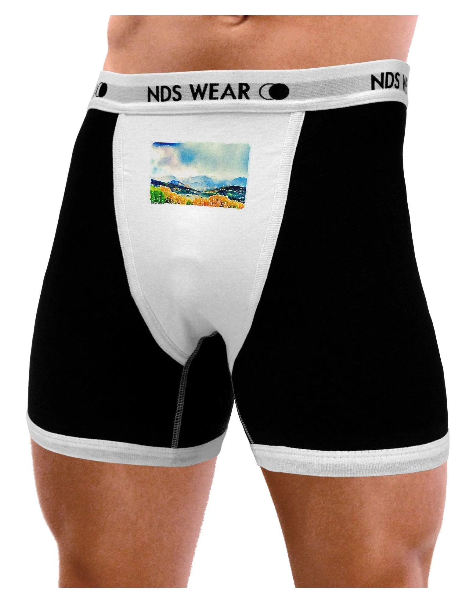 Colorado Mountain Scene Mens Boxer Brief Underwear