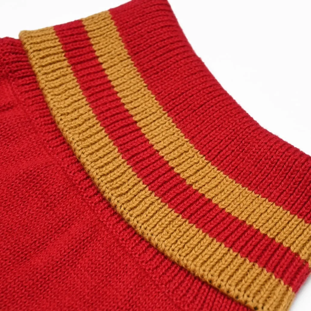 Harry Potter - Gryffindor Dog Sweater