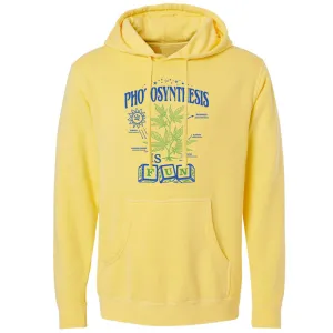 Photosynthesis is Fun Vintage Wash Pullover Hoodie