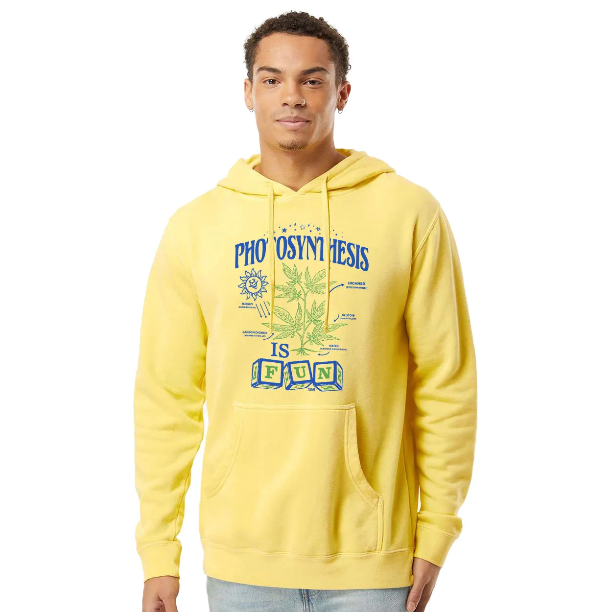 Photosynthesis is Fun Vintage Wash Pullover Hoodie