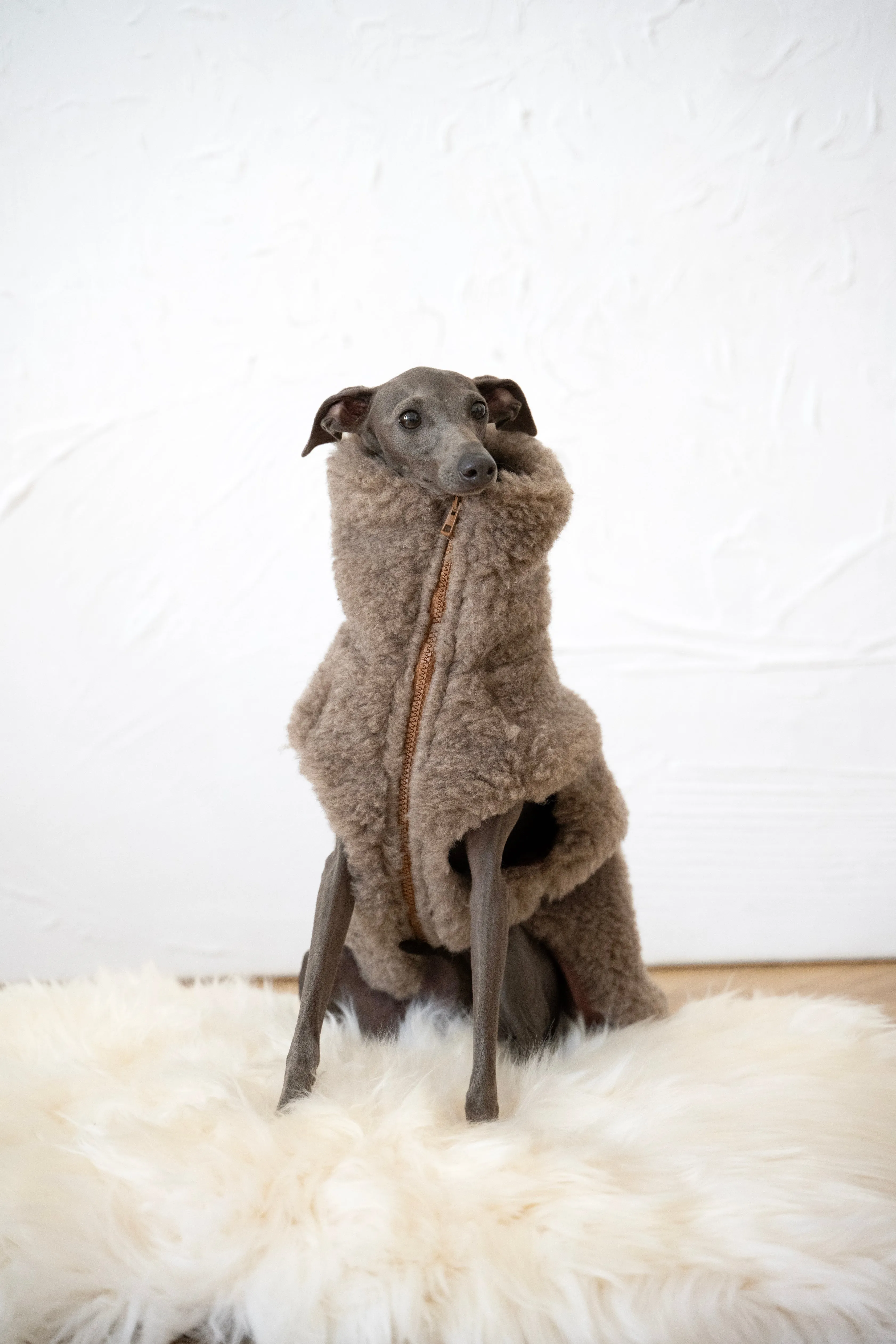 Woolen Dog Vest - Beige